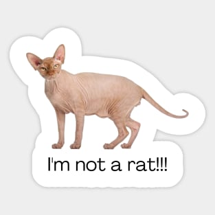 I'm Not a Rat Sticker